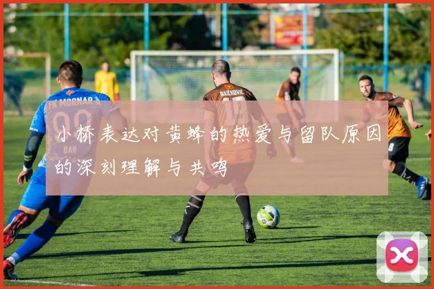 小桥表达对黄蜂的热爱与留队原因的深刻理解与共鸣